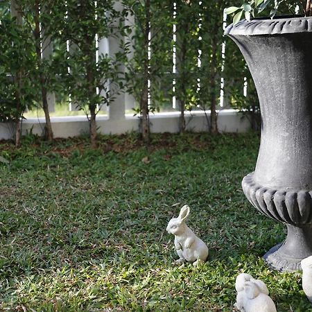Mona Chiangmai Boutique Hotel Chiang Mai Exterior photo