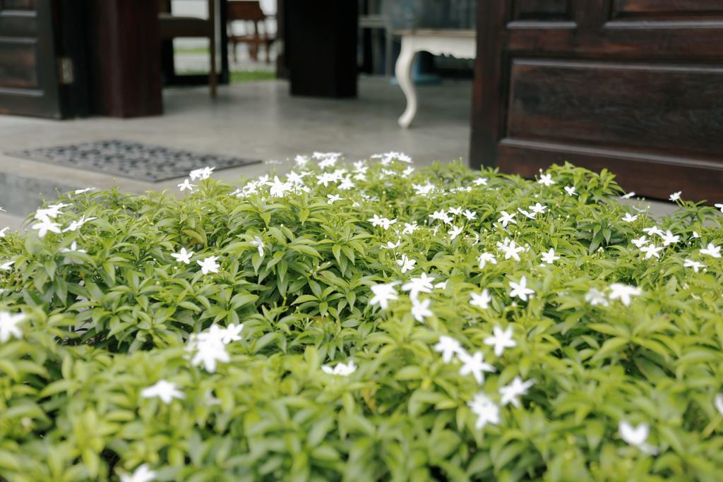 Mona Chiangmai Boutique Hotel Chiang Mai Exterior photo